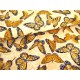 Patchworkstoff Schmetterlinge Bee Inspired Quiltstoff