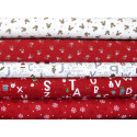 Stoffpaket Weihnachtsstoffe Rentier 75079