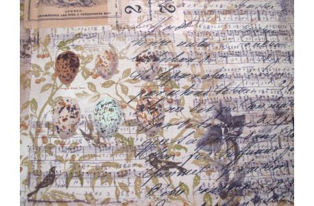 Patchworkstoff Tim Holtz Eclectic Elements Stoff Baumwolle Vogel Eier Blumen Noten