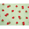 Patchworkstoff Erdbeeren Sunday Stroll Stoff Baumwolle Früchte 