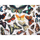Tim Holtz Eclectic Baumwolle Stoff Schmetterlinge Patchworkstoff Motten Falter Junk Journal