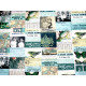 Tim Holtz Patchworkstoff Baumwolle Bilder Fotos Schmetterlinge Stoff Vögel Eclectic Elements türkis