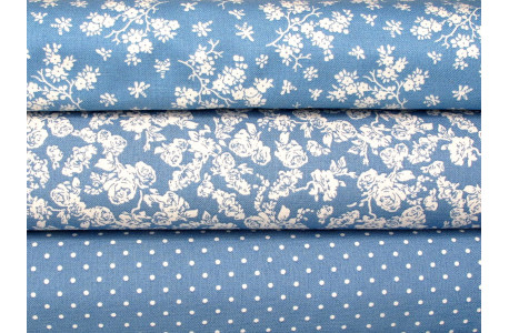 Stoffpaket Blumen Baumwolle Rosen Punkte Libellen Stoff blau weiß