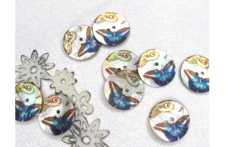 Perlmuttknopf Schmetterling Zierknopf Dekoknopf Kleiderknopf Taschenknopf Blusenknopf