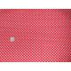 Patchworkstoff Karostoff Baumwolle rot kariert weet Liberty Gingham