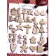 Adventskalenderzahlen creme 1-24